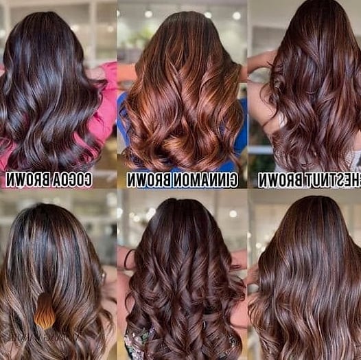 27 Chocolate Hair Color Ideas Every Woman Needs to See 8 The Anatomy of the French Bob