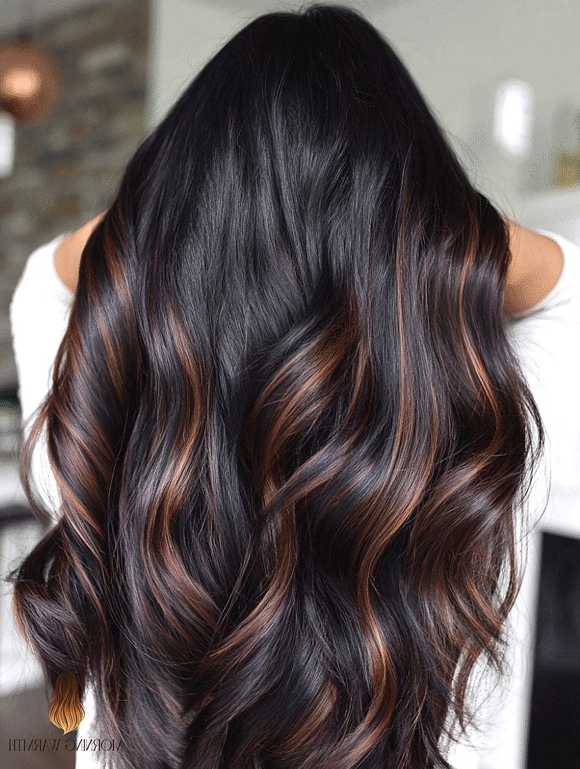 Black with Chestnut Highlights