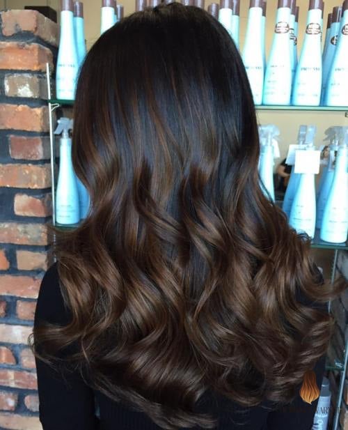 Black with Chocolate Brown