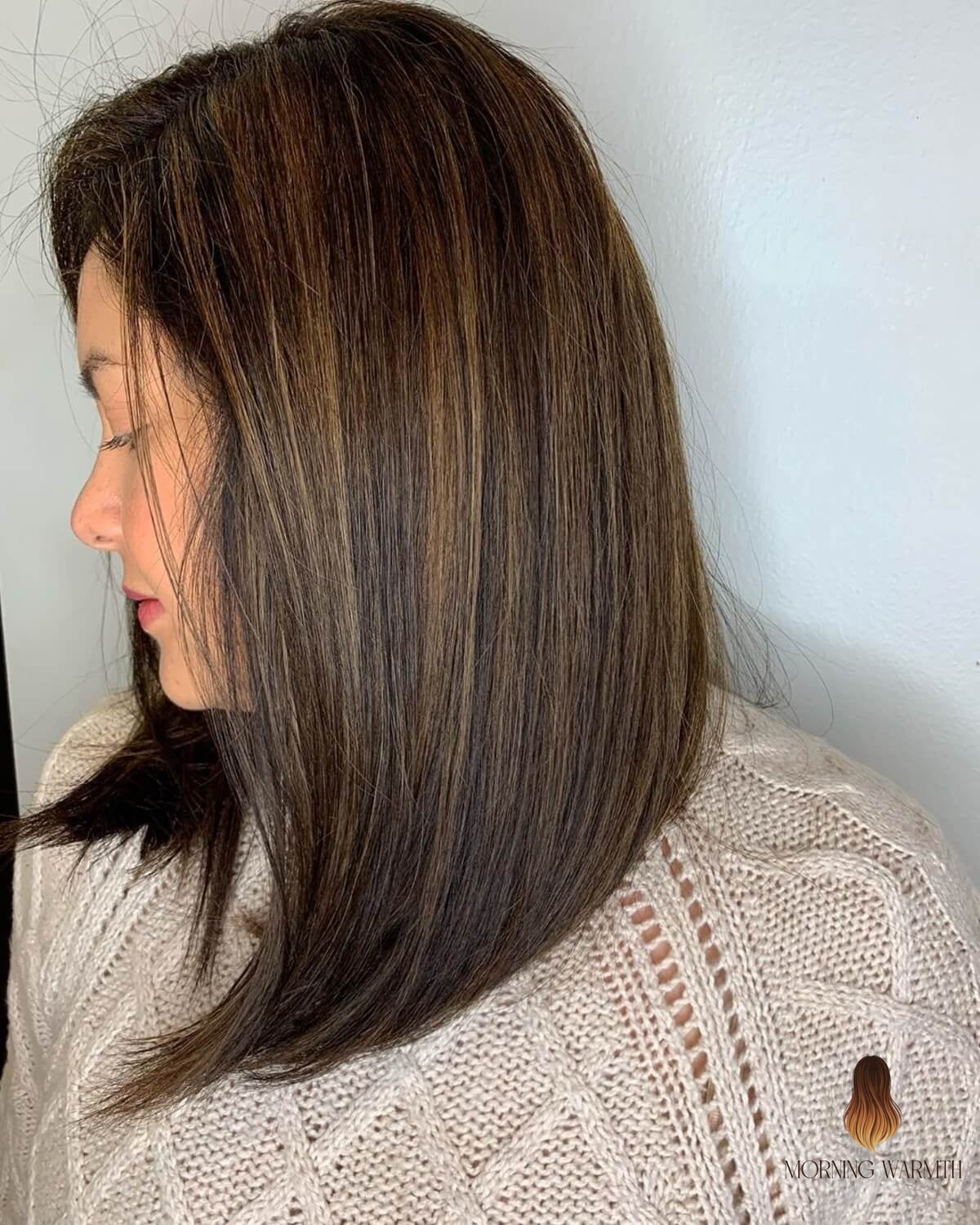 27 Brown Hair With Caramel Highlights Ideas That Every Stylist Needs to See 13 Caramel Balayage Ideal for Straight Hair