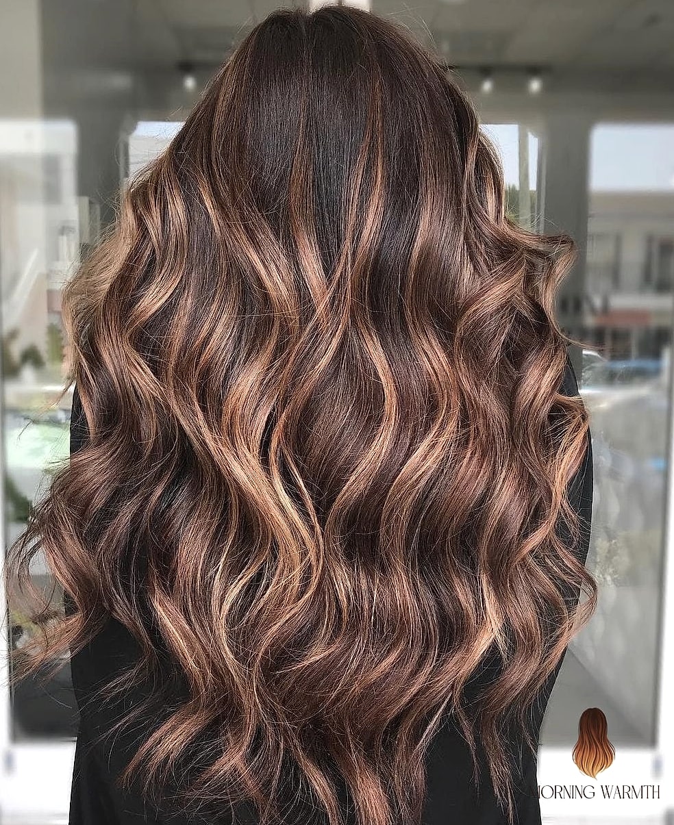 25 Dark Brown Hair With Caramel Highlights Ideas That Are Dreamy and So Inspiring 18 Caramel Highlights on Box Braids