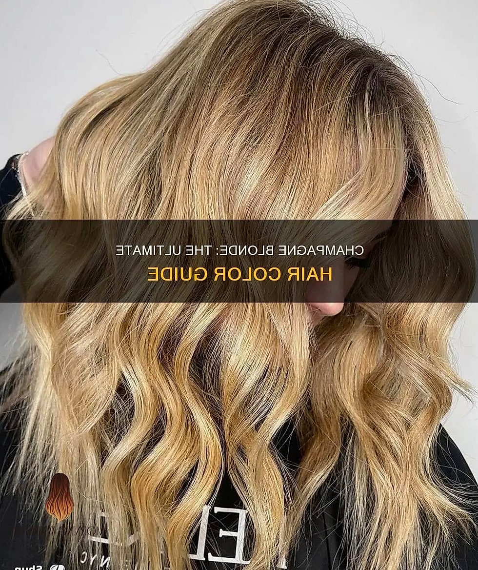 27 My Hair Color Ideas That Every Stylist Needs to See 16 Champagne Blonde Style