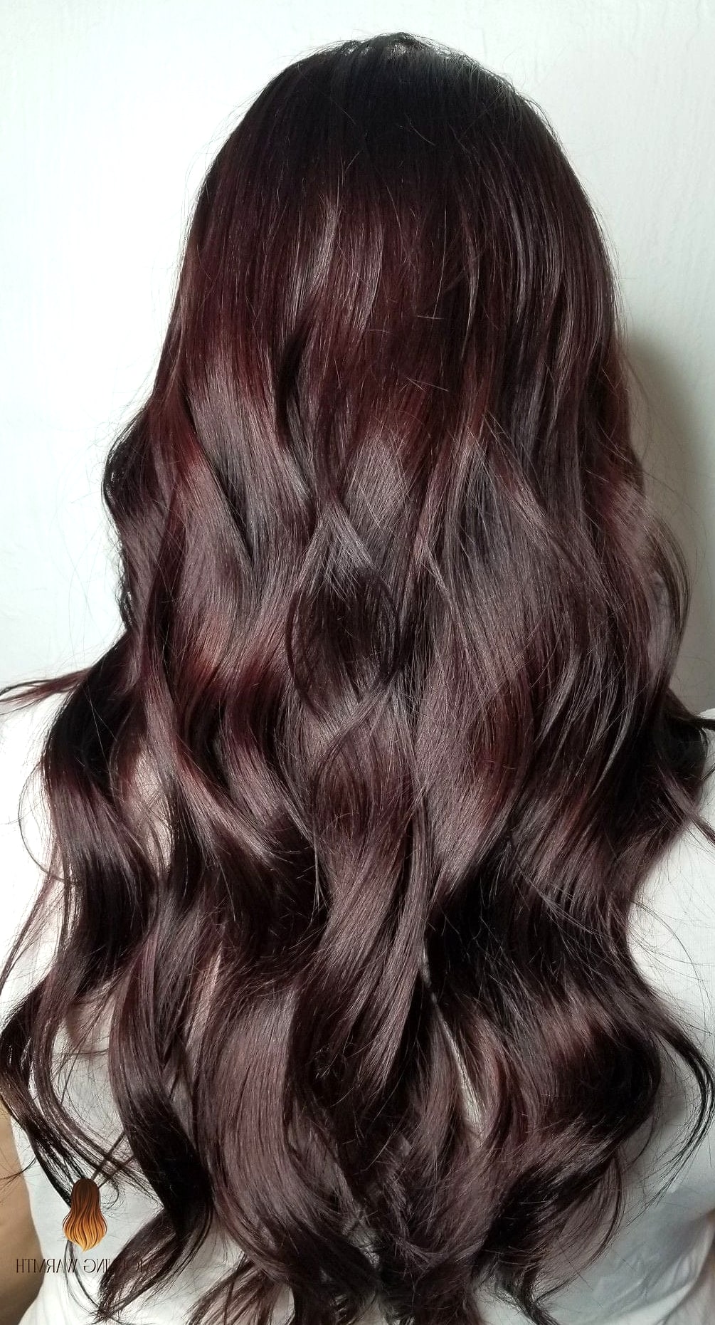 Chocolate Mahogany
