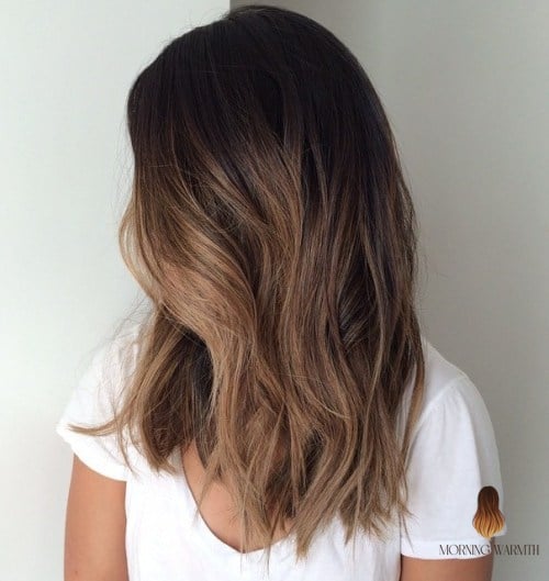 Classic Honey Brown Balayage