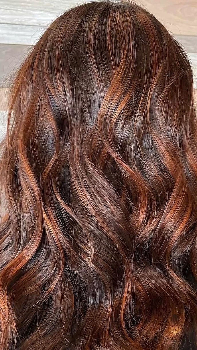 Copper-Kissed Brown Highlights