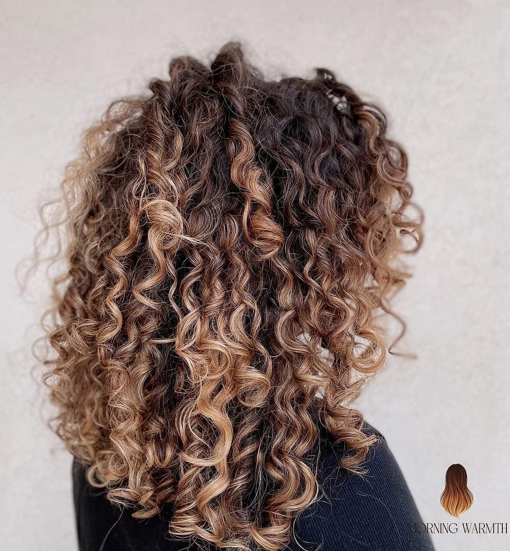 30 Cabello Balayage Ideas You Need to Try Next 28 Curly Hair Balayage