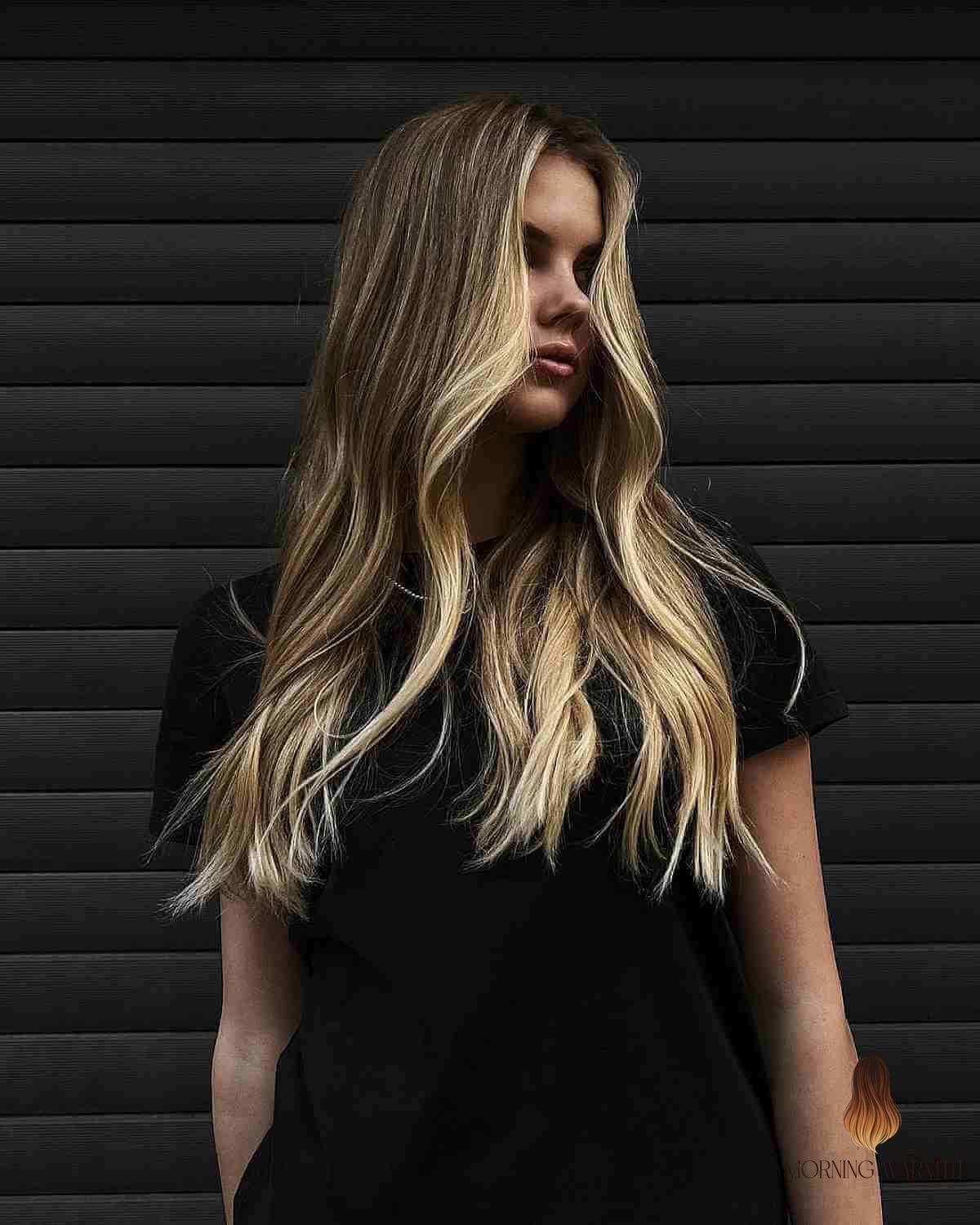 27 Blonde Hair Color Ideas Every Woman Needs to See 10 Dark Blonde with Light Blonde Money Piece Highlights