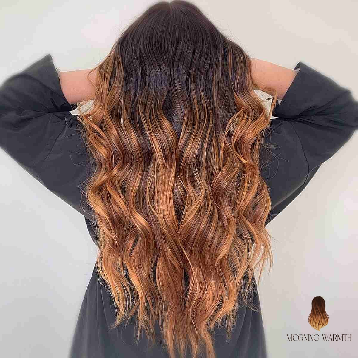 25 Balayage Cheveux Bruns Ideas That Are Dreamy and So Inspiring 6 Dark Brunette to Warm Brown Ombre