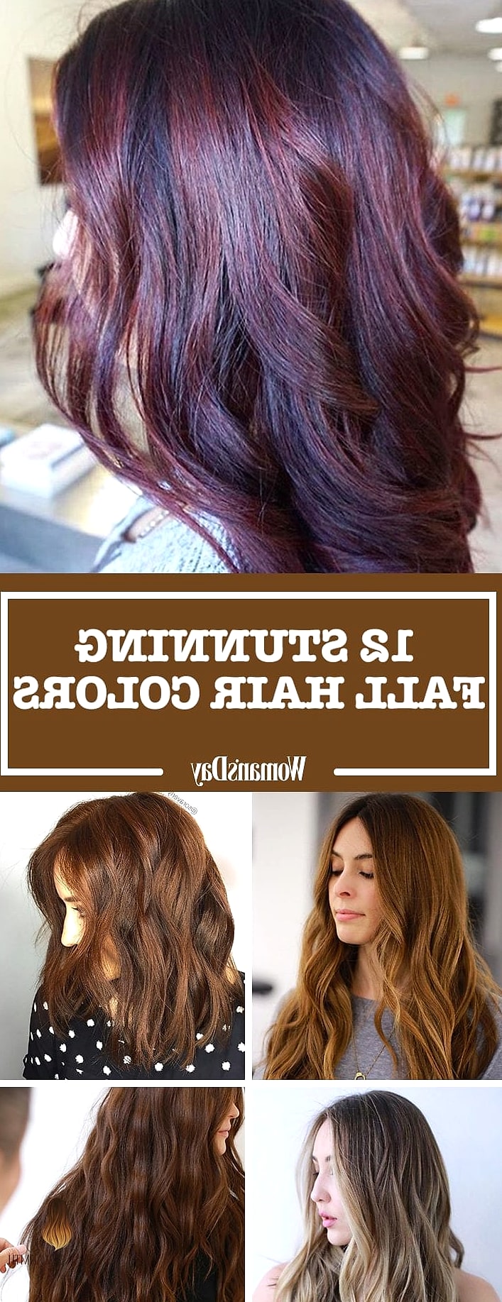 21 Color Hair Ideas Ideas That Are Trending Right Now 13 Gorgeous Fall Hair Colors Women In Their 60s Are Getting in 2026