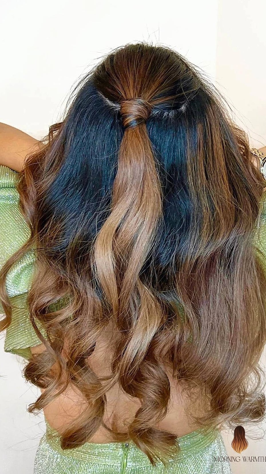 23 Hair Colour Ideas Inspo Ideas Worth Pinning Immediately 15 Half-Updo for Bob