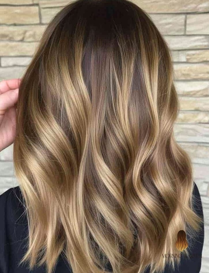 20 Balayage Miel Ideas That Are Breathtakingly Beautiful 20 Honey Balayage Half-Up Style