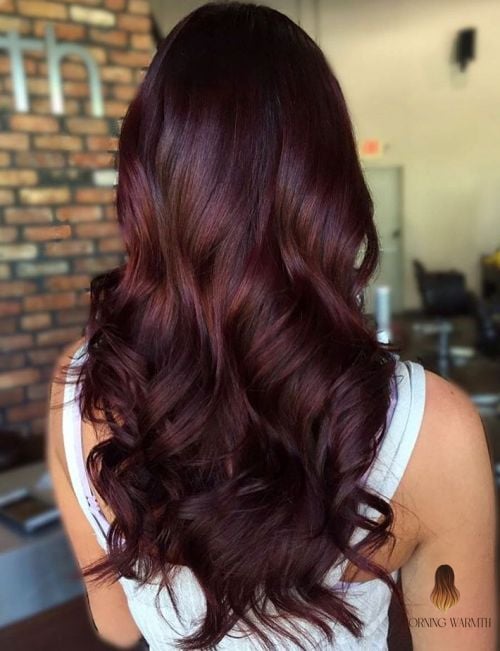 27 My Hair Color Ideas That Every Stylist Needs to See 2 Mahogany Coloring