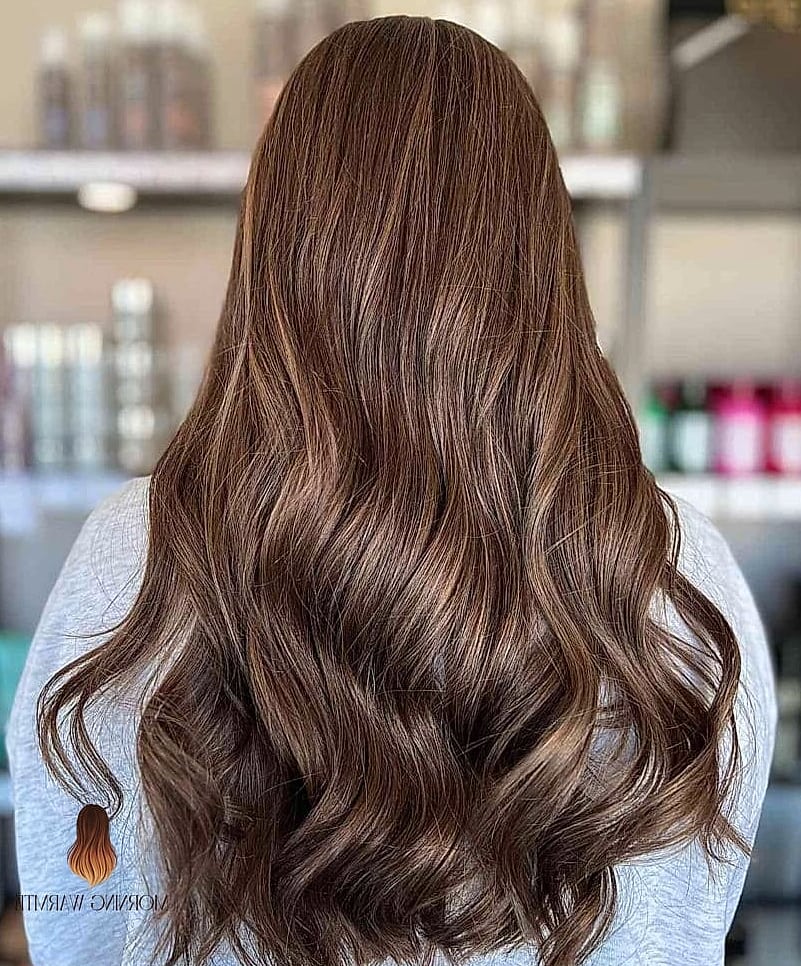 Milk Chocolate Balayage Hair