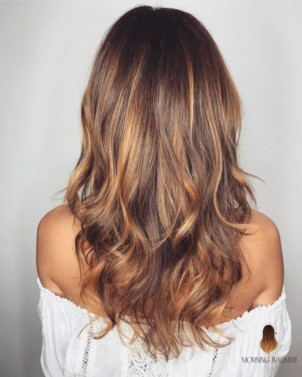 Natural Light Chocolate Brown Sun-Kissed Hair