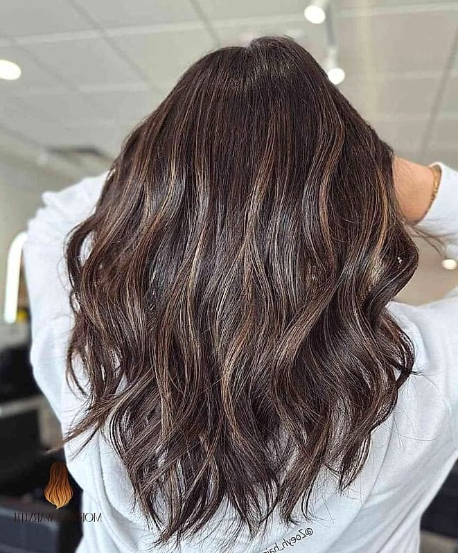 Rich Mocha Brown Hair with Highlights