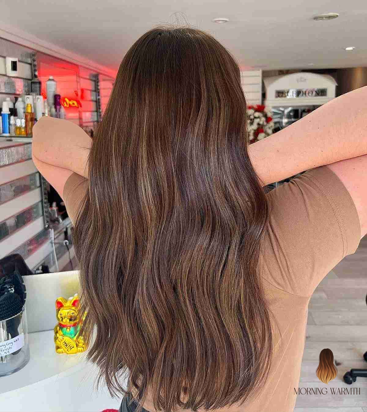 24 Reverse Balayage Ideas That Are Absolutely Stunning 19 Soft Chestnut Brown Balayage