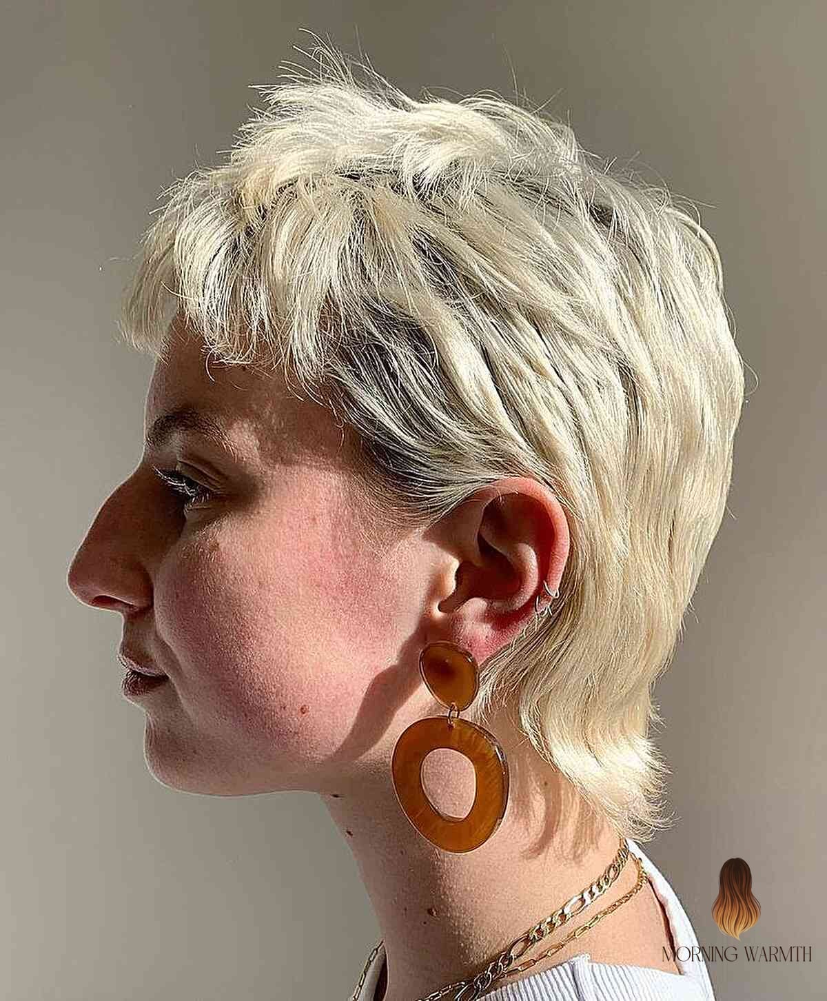 20 Blonde Hair Color Ideas Ideas That Will Make You Book Your Appointment Immediately 6 Soft Pixie Mullet on Bleach Blonde Hair