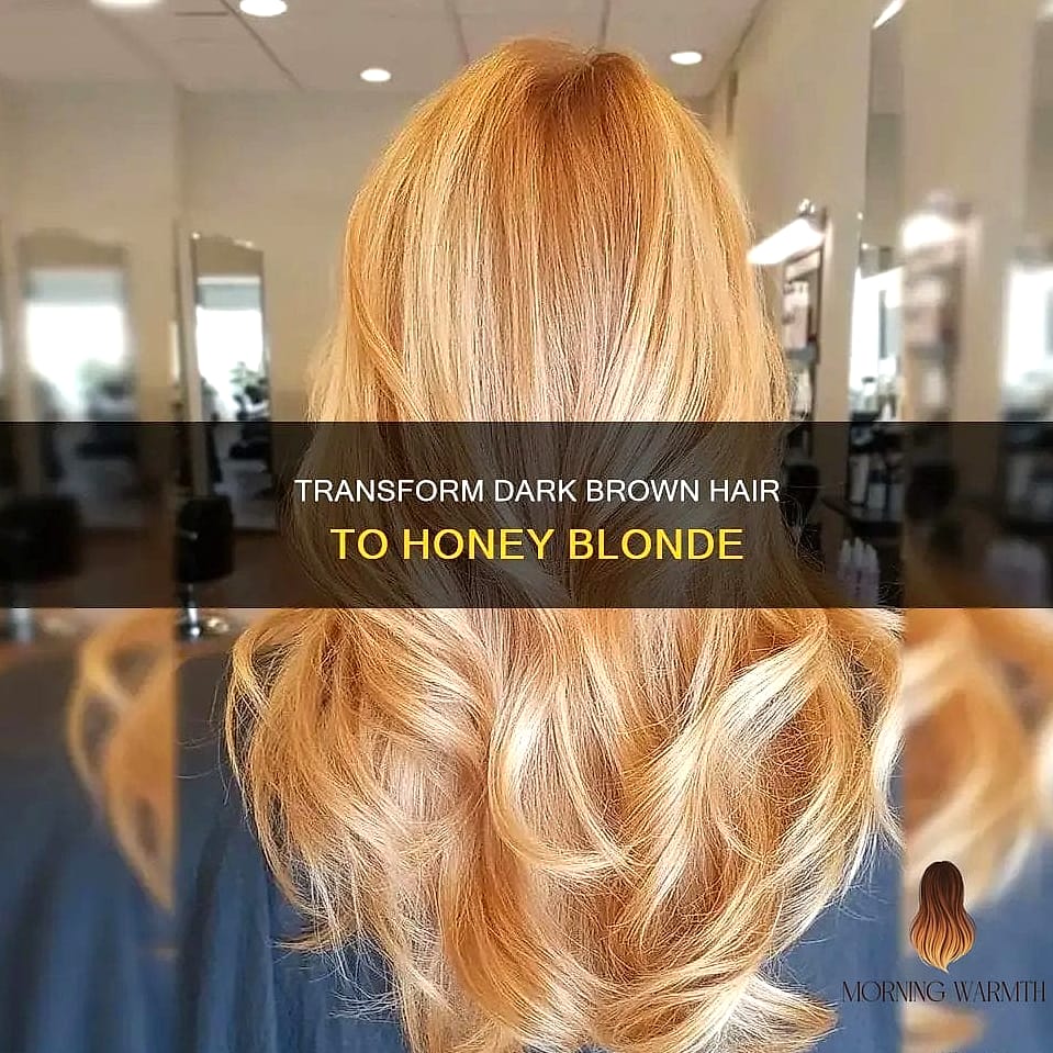 22 Hair Color Ideas That Will Transform Your Look 16 Stunning Honey Brown Curls That Shine With Natural Beauty
