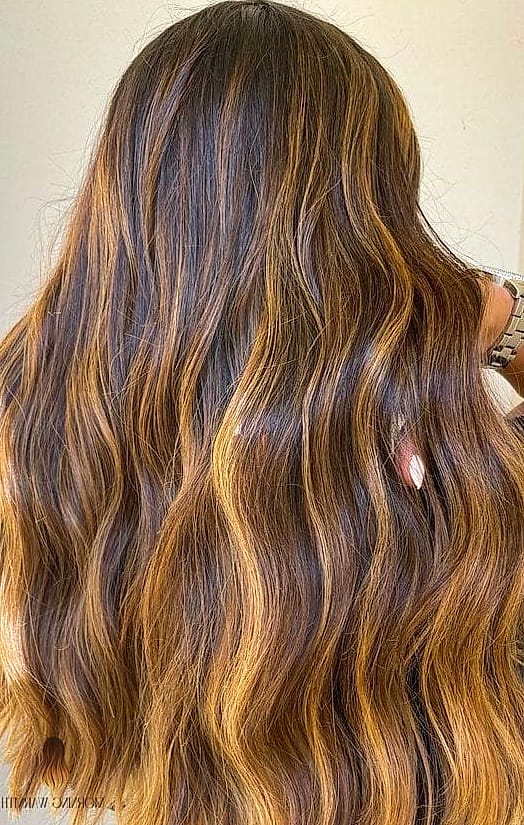 23 Dark Hair Color Ideas Inspo Ideas Worth Pinning Immediately 8 Sun-Kissed Butterfly Layers with Soft Texture