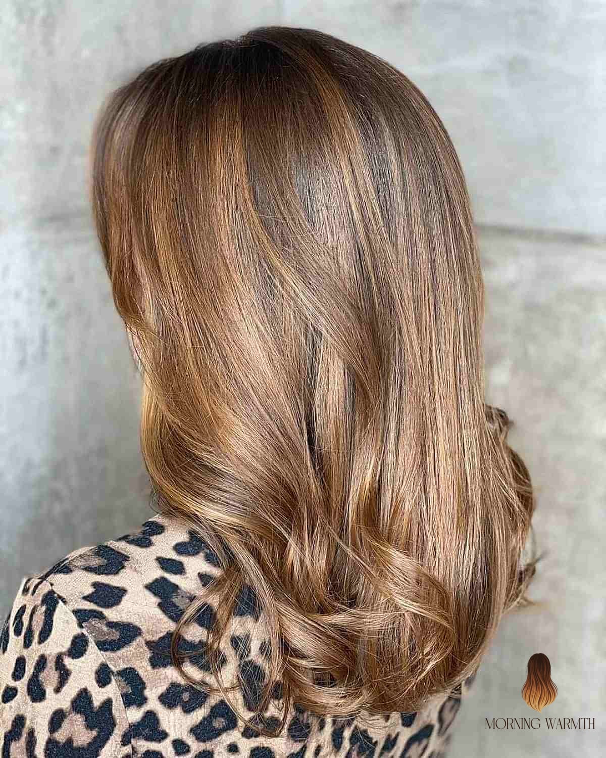 25 Balayage Cheveux Bruns Ideas That Are Dreamy and So Inspiring 9 Sun-Kissed Bronde Balayage