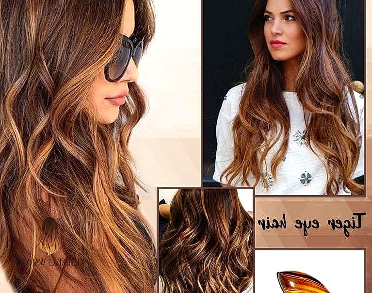 Voluminous Tiger-Eye Curtain Layers with Soft Root Smudge